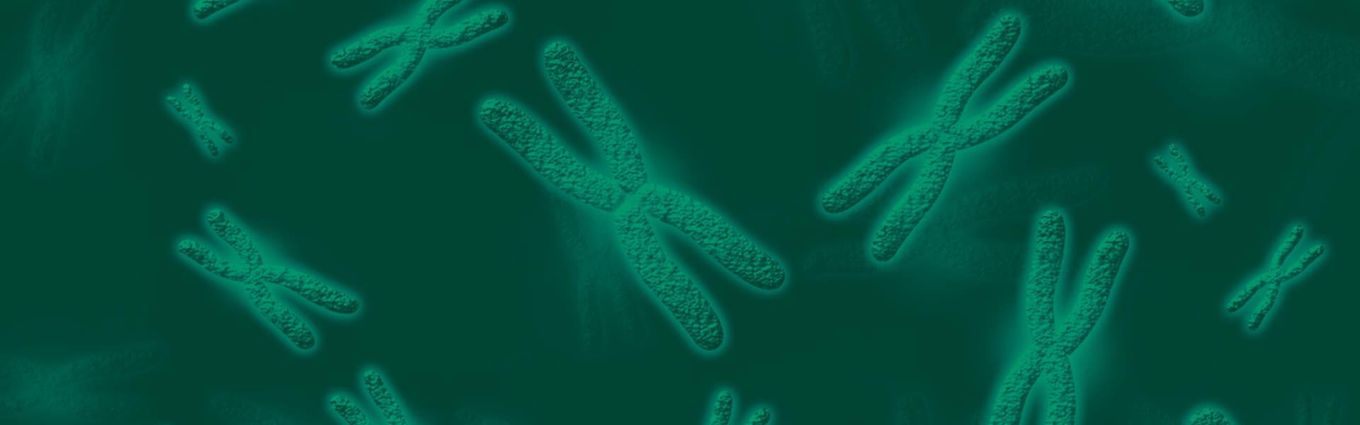 preconceptional carrier screening chromosomes